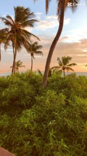 Venha curtir esse paraíso
Vista privilegiada para o por do sol ☀️#jericoacoara #vemprajeri #ceara #lagoadoparaiso #buracoazul #tatajuba #guriu #pedrafurada #viajar #nordeste #brasil #reveillon2024 #kitsurf #praiadoprea #praia #sol #mar #windsurfing