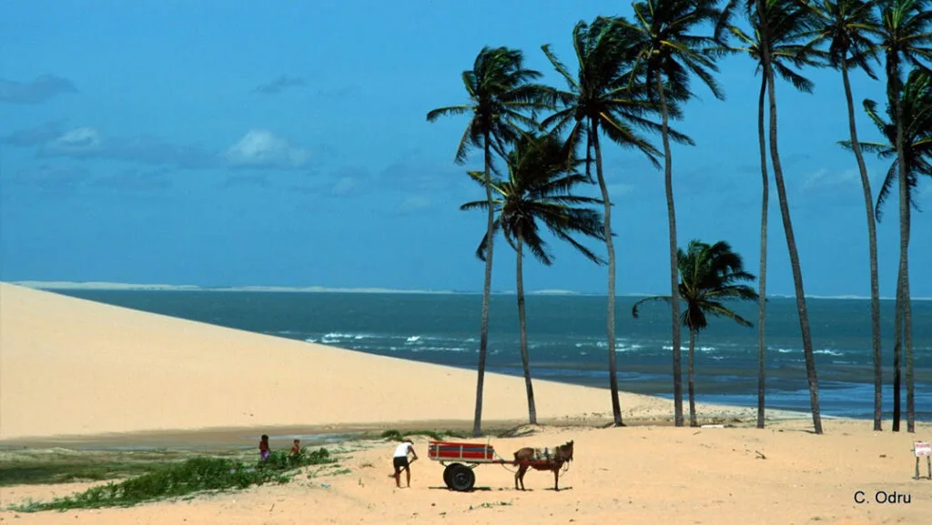 Praia do Preá - Jericoacoara - Ceará | Pousada Mona Lisa